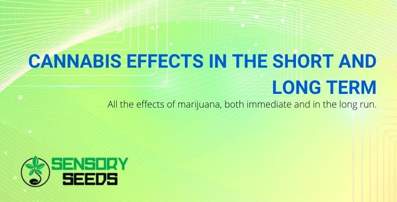 The effects of cannabis in the short and long term