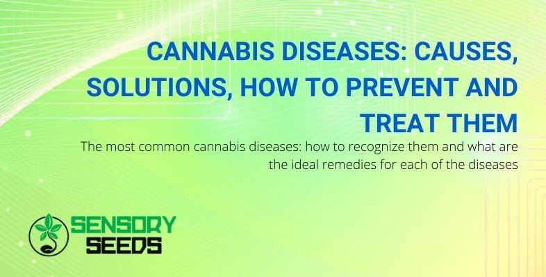 Causes and remedies for cannabis diseases