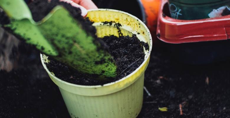 Vermicompost added to potting soil