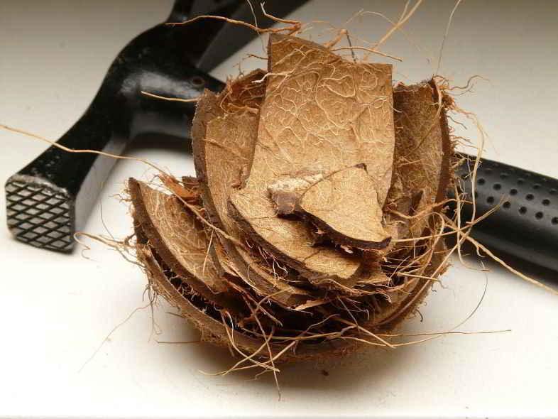 What is coconut fiber?