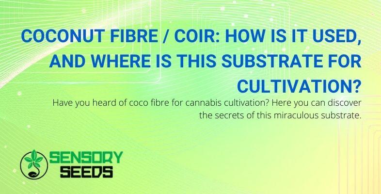 The coconut fiber in cannabis cultivation