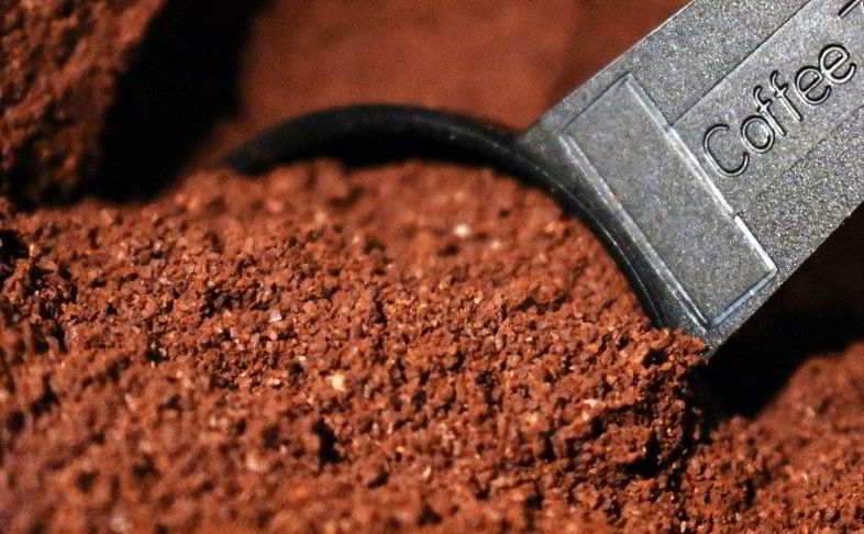 Coffee as a natural fertilizer for green plants