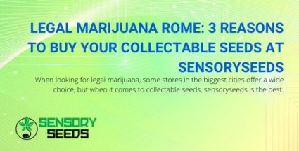 3 days to choose sensoryseeds for your collectible seeds