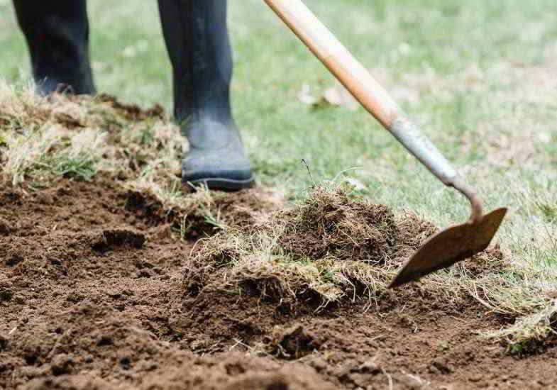 Hand method to avoid herbicide and health effects