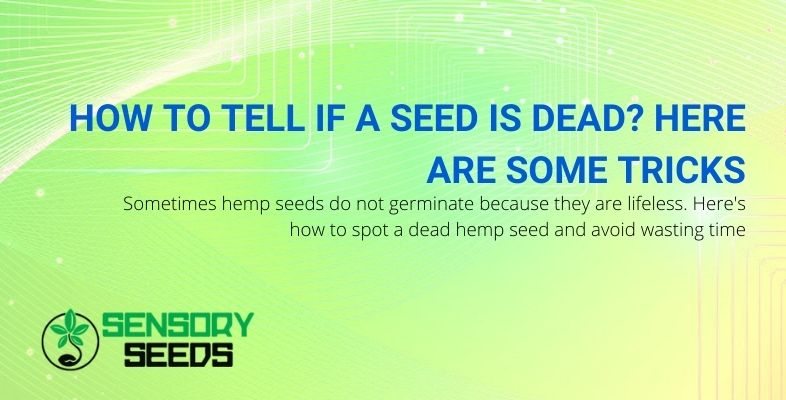 How to recognize a seed if it is alive or dead?