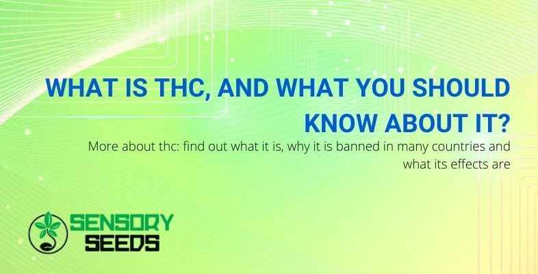 What it is and what you should know about THC