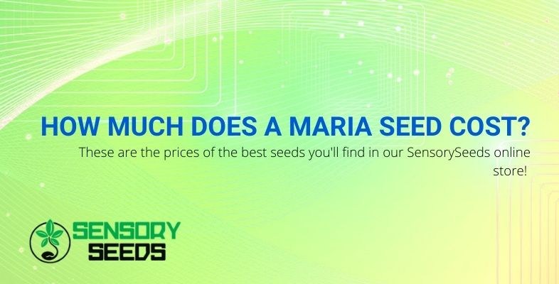What price does a marijuana seed have?