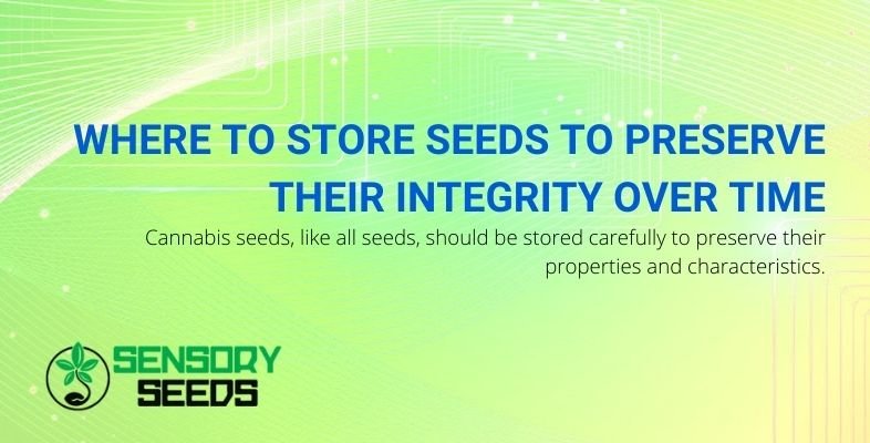 Where should cannabis seeds be stored to preserve their integrity?