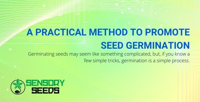 Practical methods for promoting seed germination