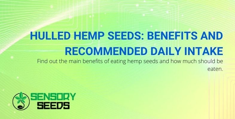 Benefits and recommended daily amount of hulled hemp seeds