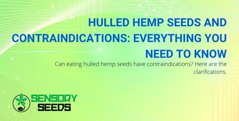 Can there be any contraindications if you eat hemp seeds?