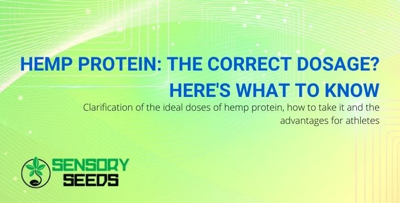 What are the correct doses and methods of use of hemp proteins?