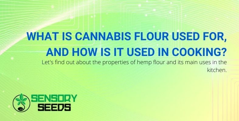 Hemp flour: its properties and its main uses in the kitchen