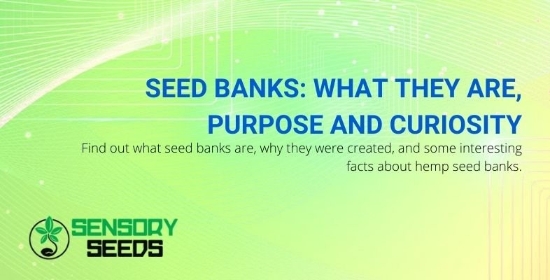 Seed banks what are they, what is their purpose?