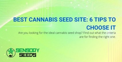 6 tips for choosing the best cannabis seed site
