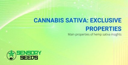 Unique properties of cannabis sativa