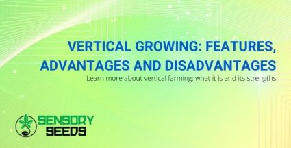 The pros and cons of vertical cultivation