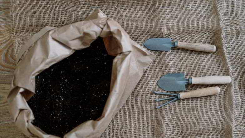 Potting soil for auto-flowering plants and tools