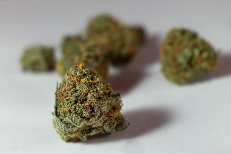 Dried cannabis inflorescences