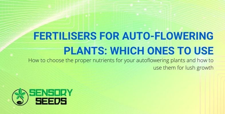 Which fertiliser to use for auto-flowering plants?