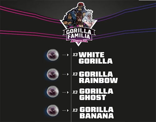 feminized seeds gorilla familia