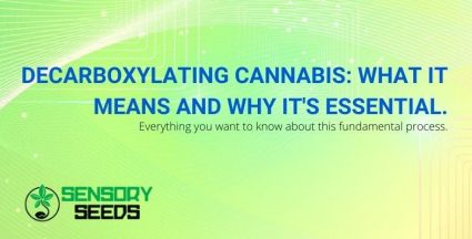 The meaning and importance of decarboxylating cannabis