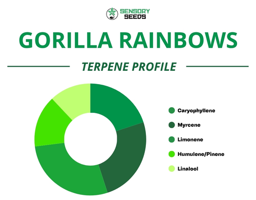 Pie chart of the terpene profile of the Gorilla Rainbowstrain