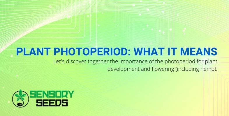 What does photoperiod mean for plants