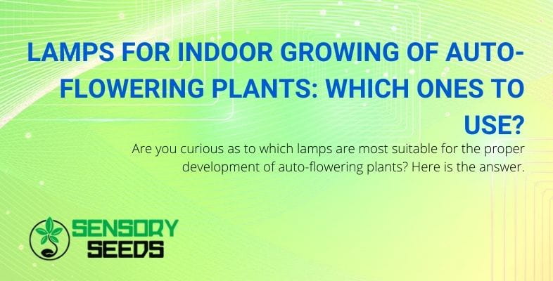 Which lamps should be used for indoor growing of autoflowering plants?