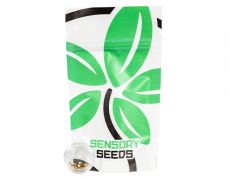 cannabis-seeds-ak47