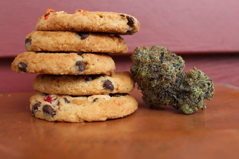 Cannabis biscuits