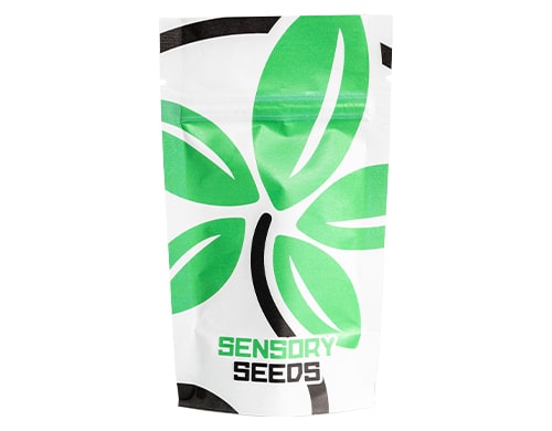 packaging-cannabis-seeds-space-mango