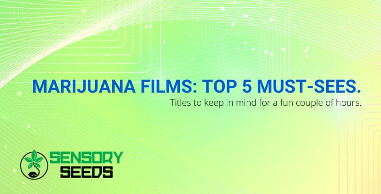 The 5 best marijuana films
