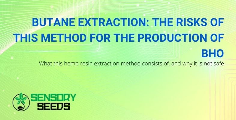 The risks of butane extraction of resins in cannabis