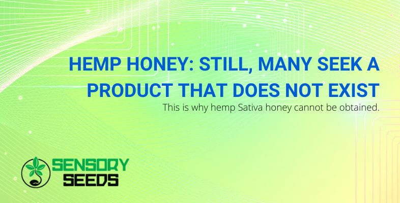 Hemp honey does not exist