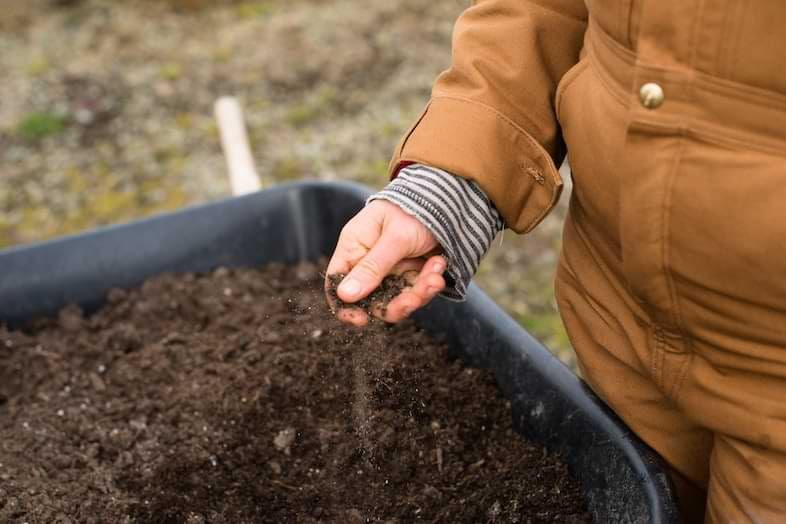 Hemp nutrients