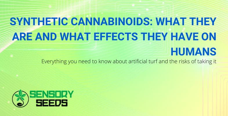 What are synthetic cannabinoids and their effects
