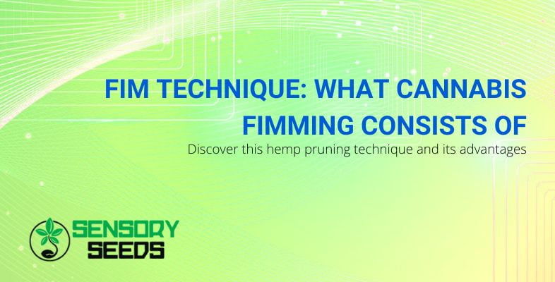 What does the Fim technique consist of?