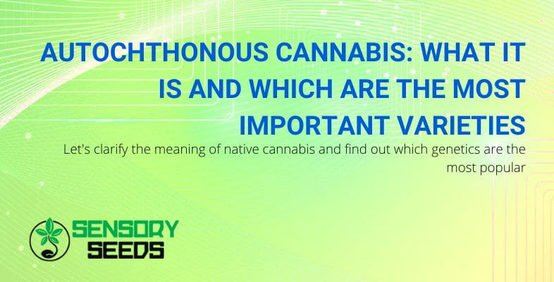 What is autochthonous cannabis?