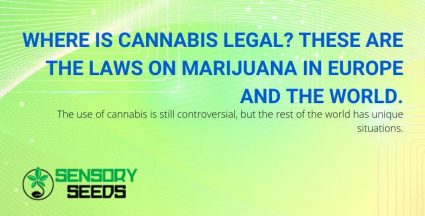 In Europe and the world where is cannabis legal?