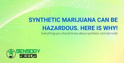 Is synthetic marijuana dangerous?