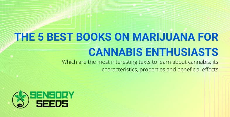 Books on marijuana: the best 5