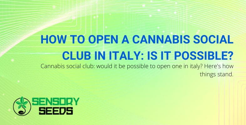 Cannabis social club Italy: how to open it
