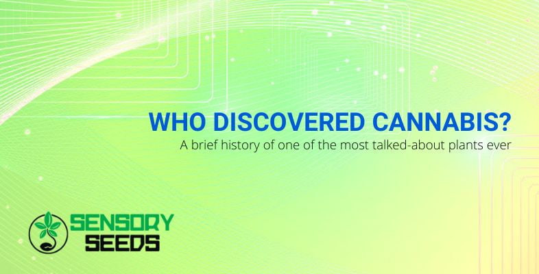 cannabis who discovered it