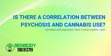 The correlation between psychosis and cannabis use