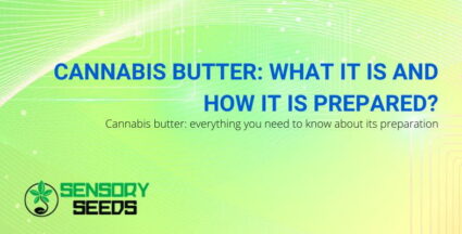 What is cannabis butter and how is it prepared?