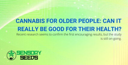 Cannabis may be useful for the health of the elderly