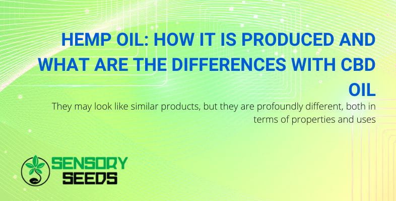 Hemp oil production and CBD oil differences | SensorySeeds
