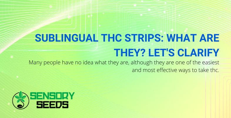 What are sublingual THC strips