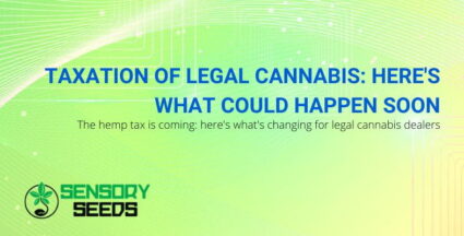 Coming soon legal cannabis taxation | SensorySeeds